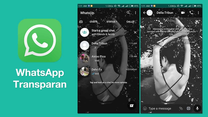 Cara Menggunakan Whatsapp Mod Transparan