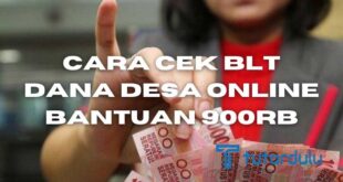 Cara Mengecek BLT Dana Desa Online + Cair Bantuan 900rb