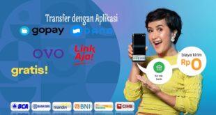 Cara Transfer Gopay ke Ovo Anti Ribet dan Praktis Cek Disini!