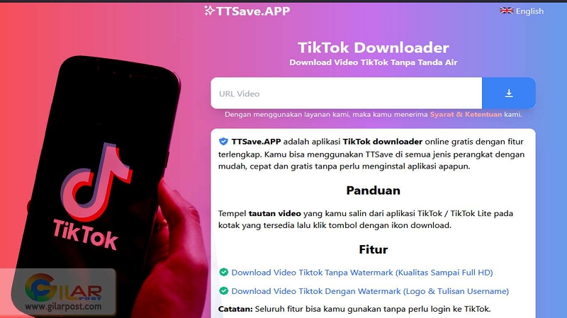 Menggunakan Situs TTSave