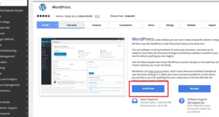 5 Cara Menghasilkan Uang dari WordPress