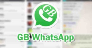 Cara Download Apk Whatsapp Gb