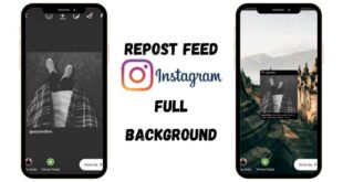 Cara Share Feed Instagram Ke Story