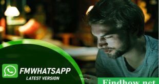 Download Fmwhatsapp Apk