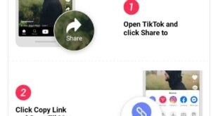 Cara Menyimpan Story Tiktok Tanpa Watermark