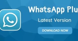 Download Apk Whatsapp Plus