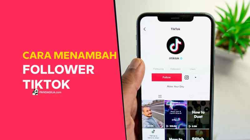 Cara Mendapatkan Like Banyak Di Tiktok