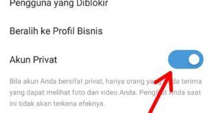 Cara Melihat Instagram Yang Diprivat