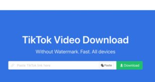 Savetik Tiktok Downloader Tanpa Watermark Full Hd Gratis