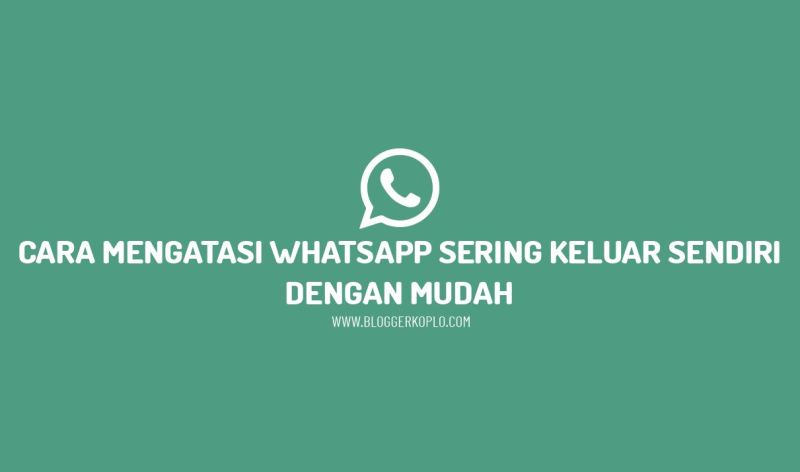 Cara Agar Media Whatsapp Tidak Tersimpan Di Android