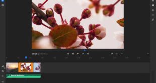 Cara Agar Adobe Premiere Rush Bisa Kompatibel Di Hp Android