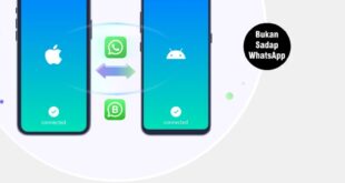 Cara Backup Wa Android Dengan Backuptrans